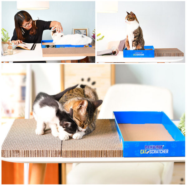 Cat scratcher boxed - Image 2