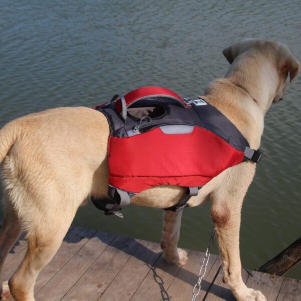 Pet backpack life jackets - Image 5