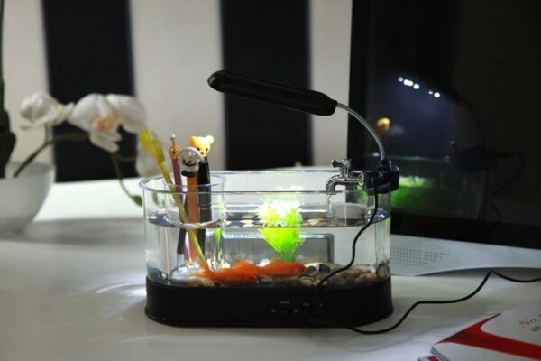 USB Desktop Streaming Mini Aquarium Time Date Week Temperature Alarm Transparent Pen Holder - Image 5