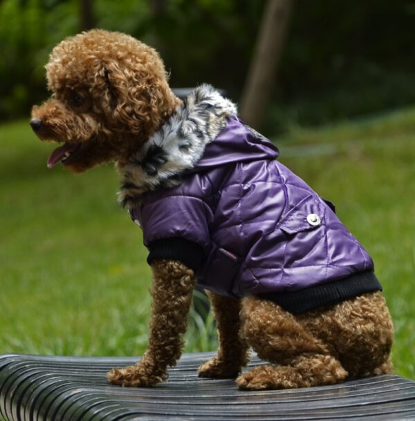 Cross-border pet supplies pet clothes dog clothes autumn and winter fur collar coat pet dog clothing - Image 5