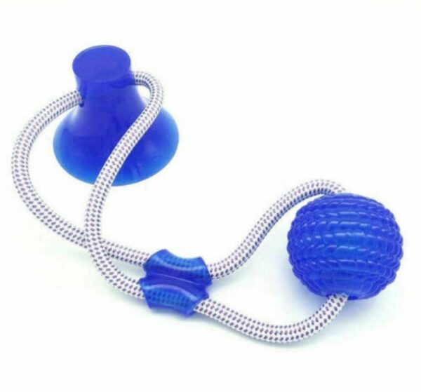 Dog Biting Sucker Multifunction Pet Molar Bite Toy - Image 9