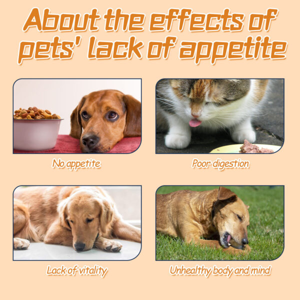 Pet Care Drops, Enhance The Vitality Of Pets And Supplement Nutrition, Effectively Enhance The Vitality Of Pets Themselves - Image 4