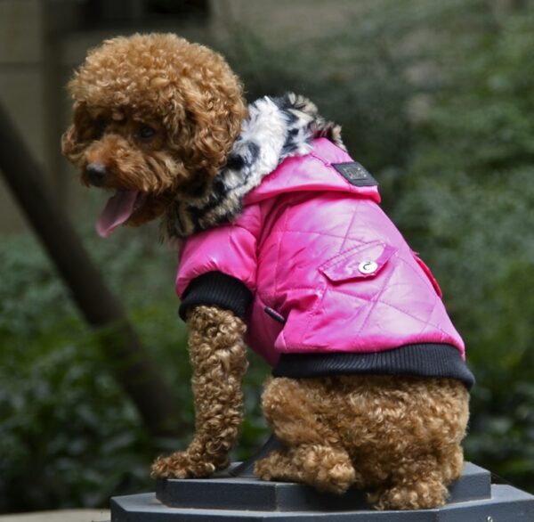 Cross-border pet supplies pet clothes dog clothes autumn and winter fur collar coat pet dog clothing - Image 3