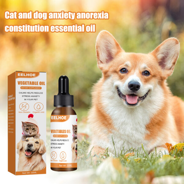 Cat & Dog Care Essence, Hemp Seed Oil Health Enhancement Care Essence, Relieves Dog Anxiety - Image 3