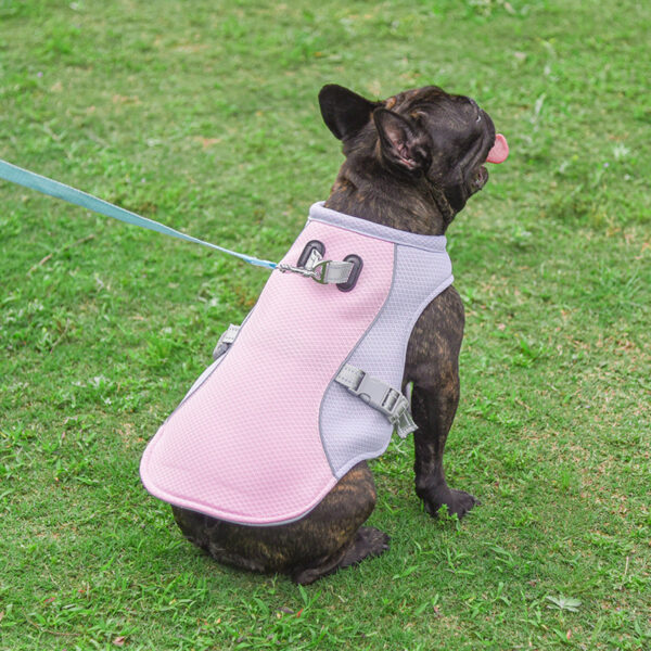 Summer Pet Outdoor Breathable Cooling Vest - Image 3