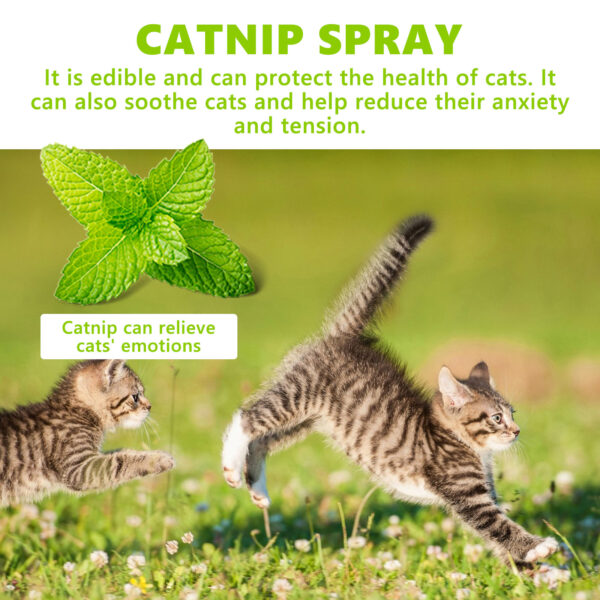 Catnip Spray, Relieves Cat Anxiety And Enhances Pet Vitality Health Care Spray - Image 5