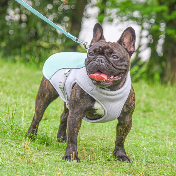 Summer Pet Outdoor Breathable Cooling Vest - Image 7