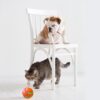 Pet New Cat Wicked Ball Toy Intelligent Ball USB Cat Toys Self Rotating Ball Automatic Rotation Ball - Image 8