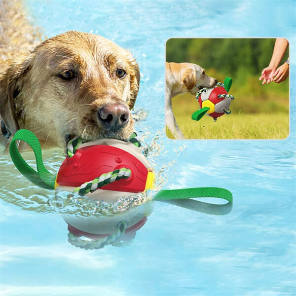 Interactive Dog Football Soccer Ball With Tabs Inflated Training Toy Outdoor Border Collie Balls Pet Products - Image 9