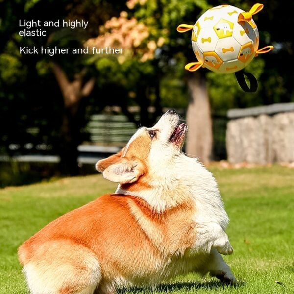 Dog Interactive Football Toys Children Soccer Dog Outdoor Training Balls Pet Sporty Bite Chew Teething Ball With Cute Printing - Image 5